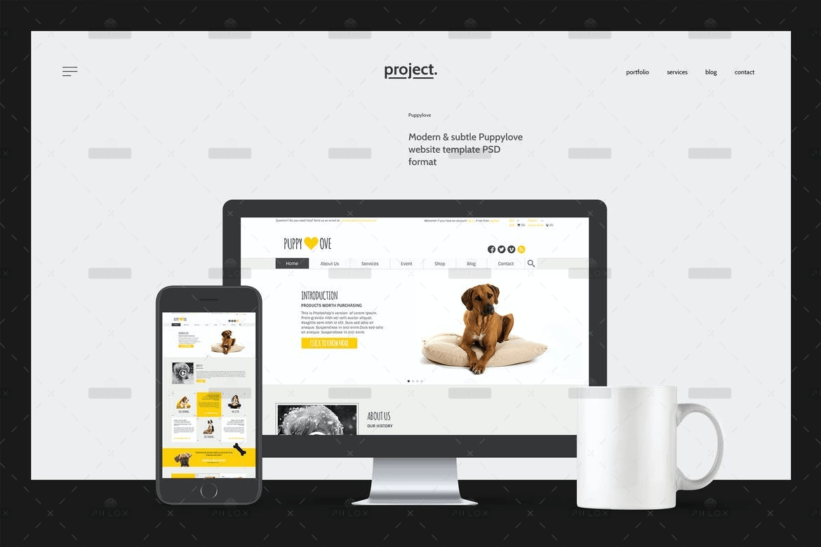 demo-attachment-3246-aaydp-ffqrm